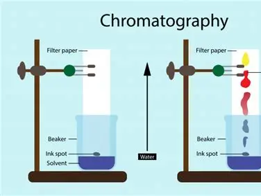 纸层析.png 纸层析.png